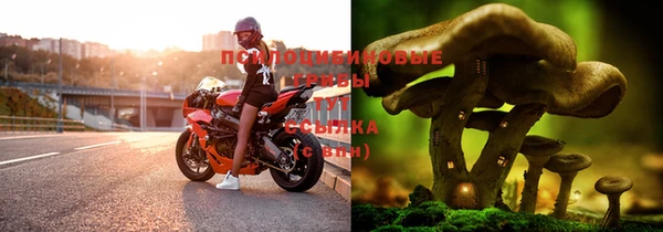 марихуана Аркадак